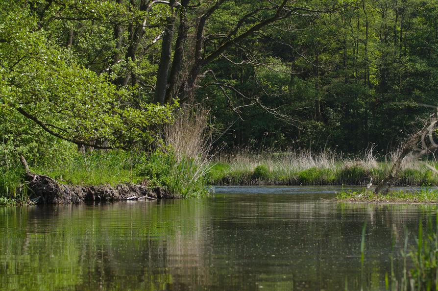 die Warnow bei Baumgarten