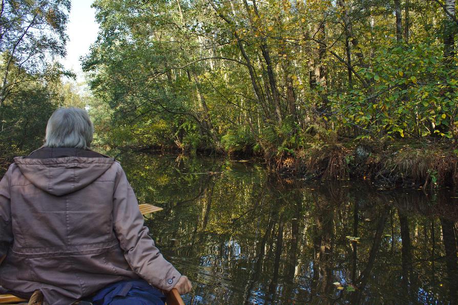 Wildnis im Breitenburger Moor