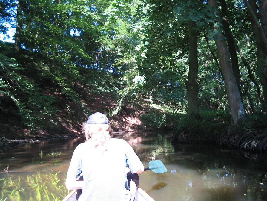 Warnow im Naturschutzgebiet vor Langen Brütz