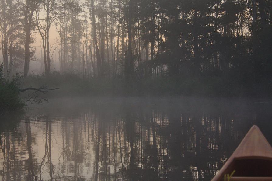 kurz vor Sonnenaufgang an der Peene