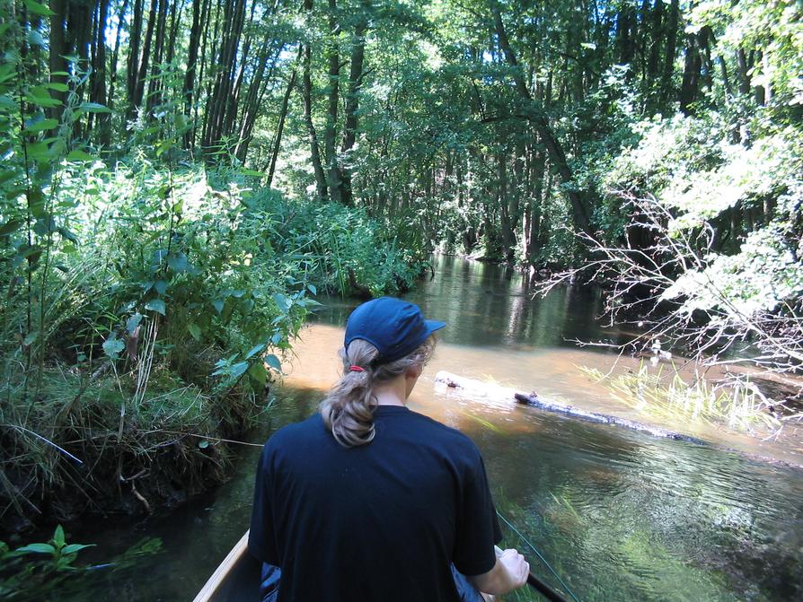 Warnow wild und schön