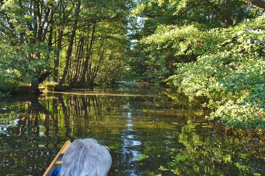 Eider Altarm bei Achterwehr