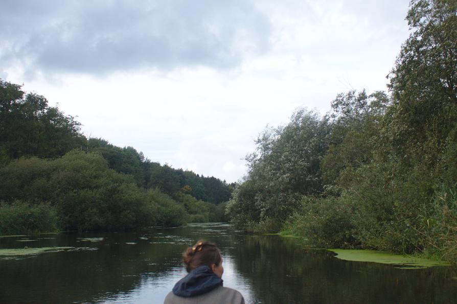 Schwentine beim Gut Rastorf Schwentine beim Gut Rastorf