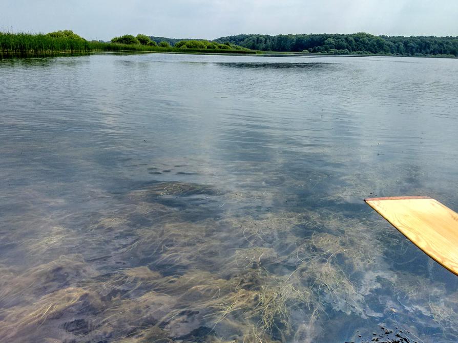 auf dem Westensee auf dem Westensee
