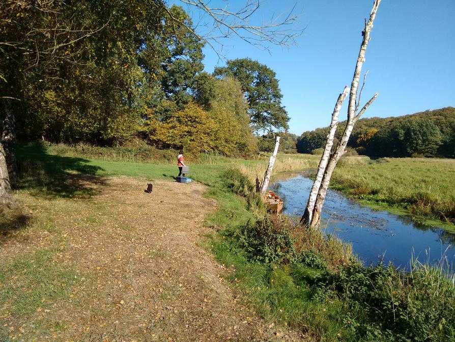 Paddelpause an der Eider