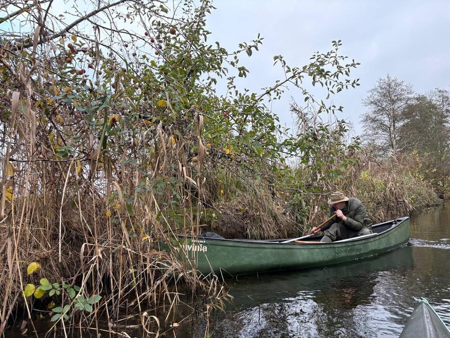 Apfelernte am Ufer der Schwentine
