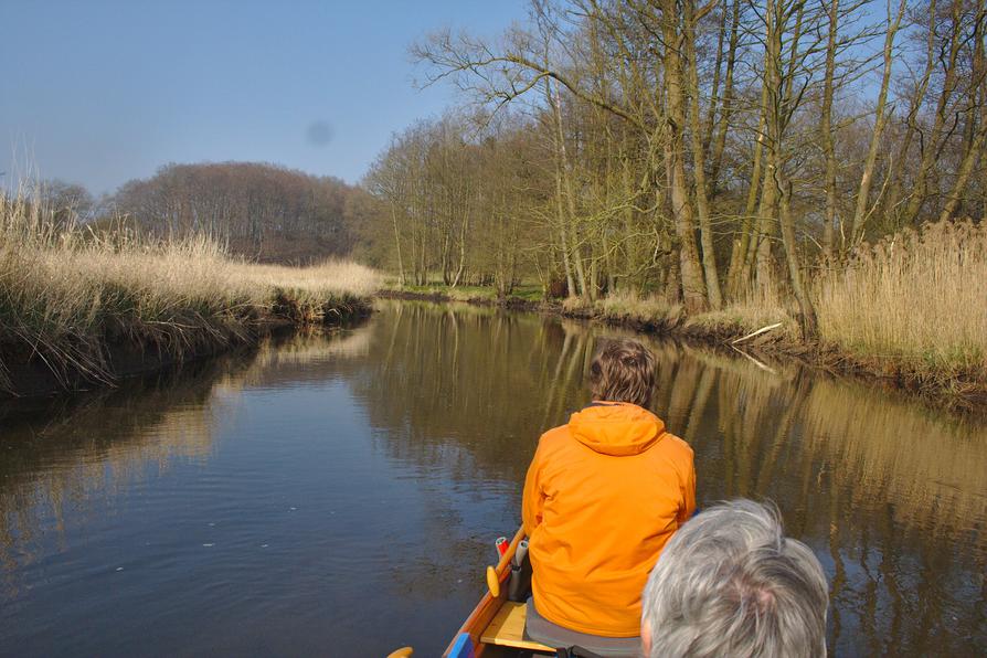 Eider unterhalb Flintbeks