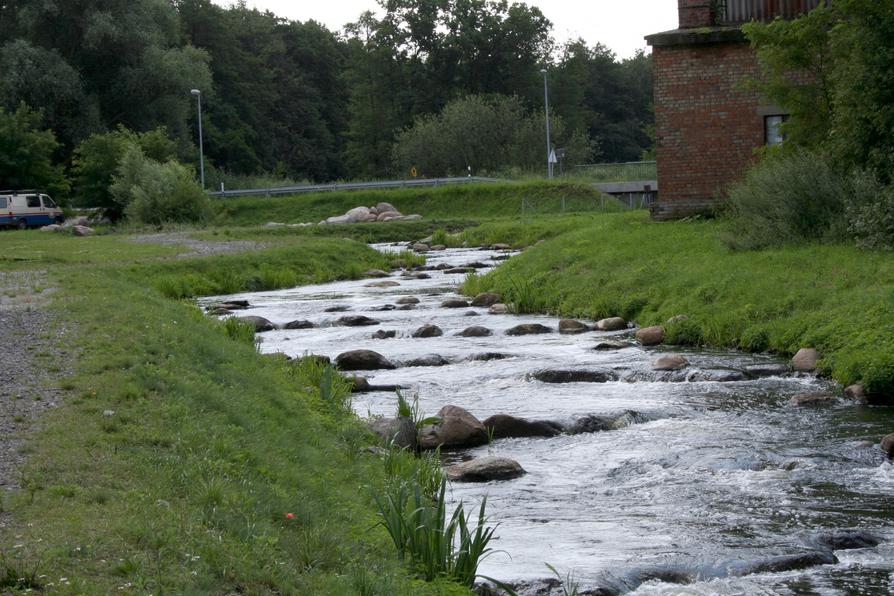 Alte Oder bei manschnow