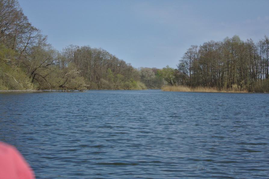 Schwentine Große Breite bei Dörnick