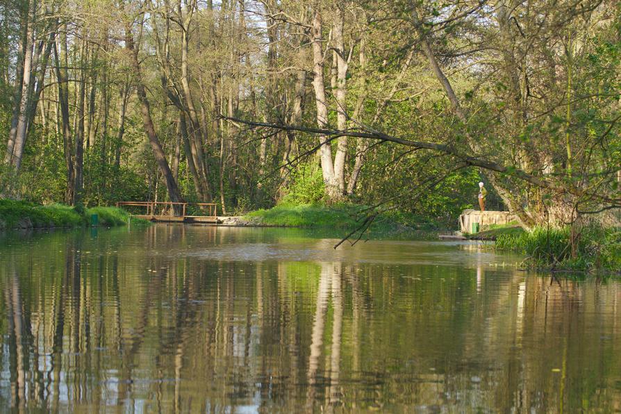 Warnow vor Weitendorf