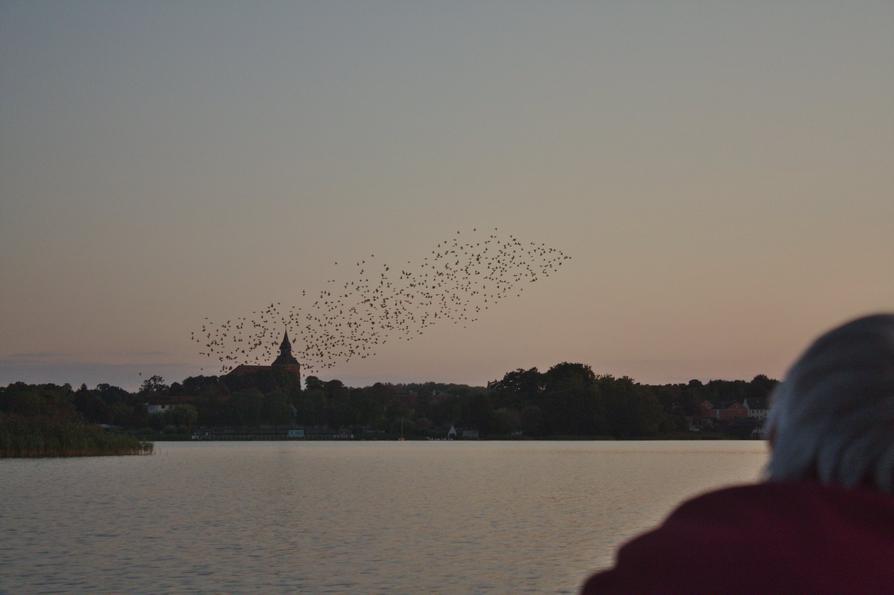 Stare über dem Sternberger See