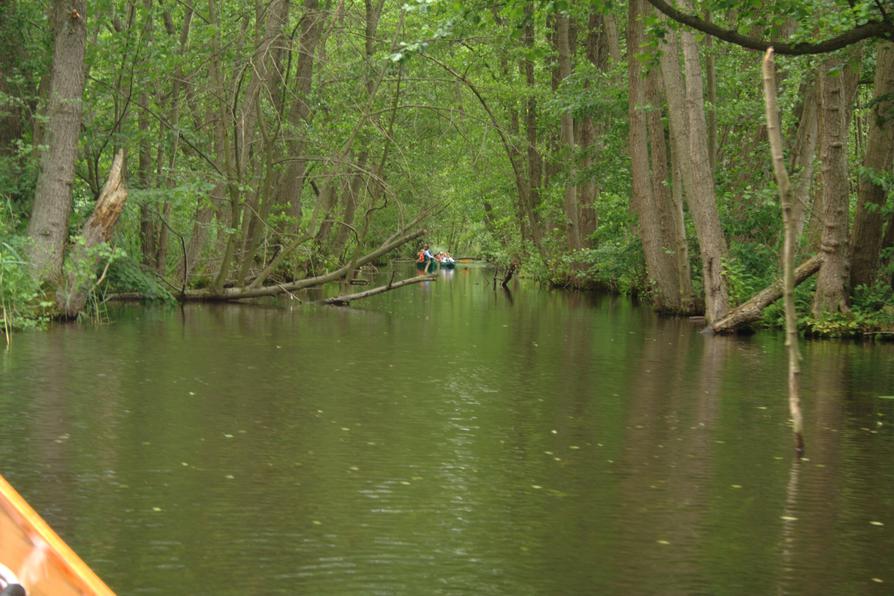 Werbellinkanal Nebengewässer