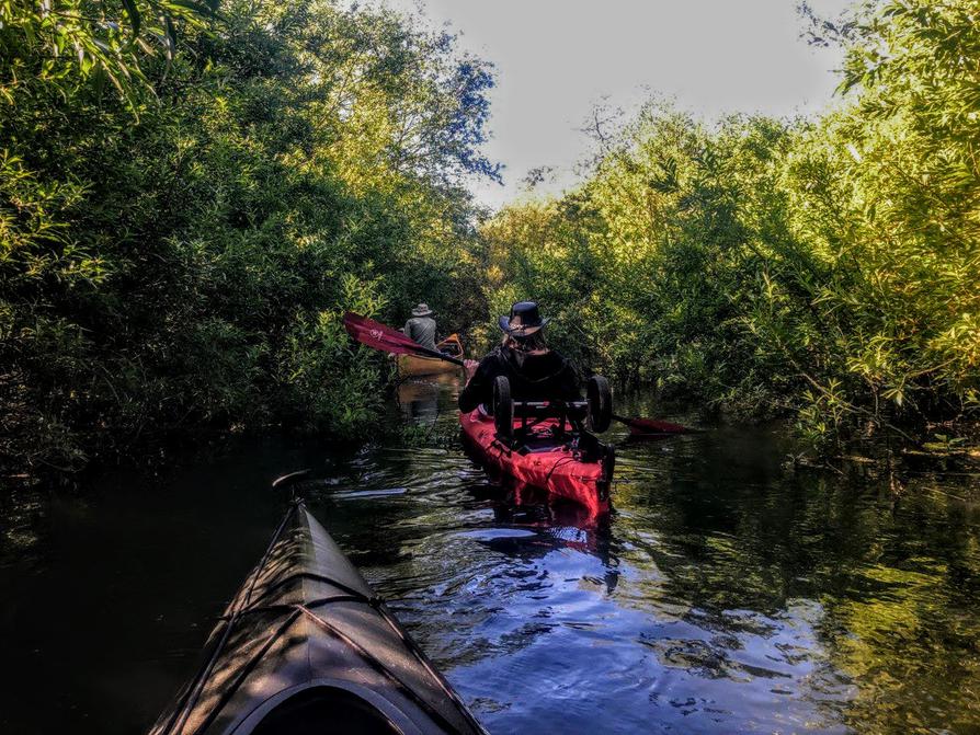 Eider fließt in den Schulensee