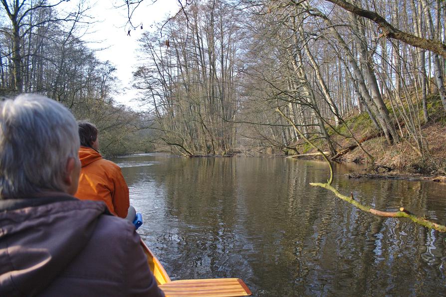 Altarm beim Auenwald Altarm beim Auenwald