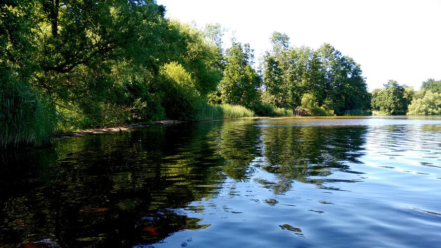 Bucht im Großen Plöner See