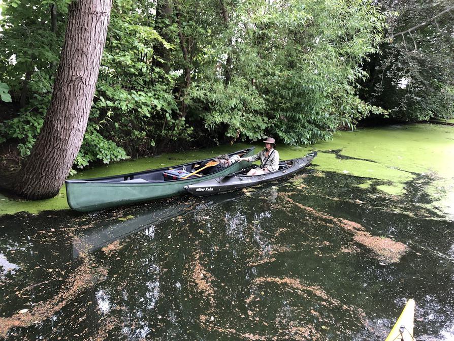 Schwentine vor Umtragestelle in Eutin