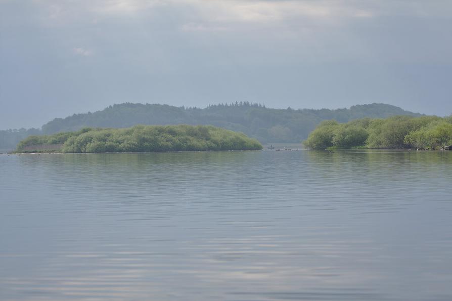 Inseln im Lanker See