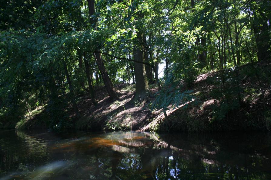 Quappendorfer Kanal durch den Wald
