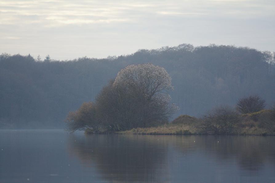 Insel im Lanker See bei Preetz