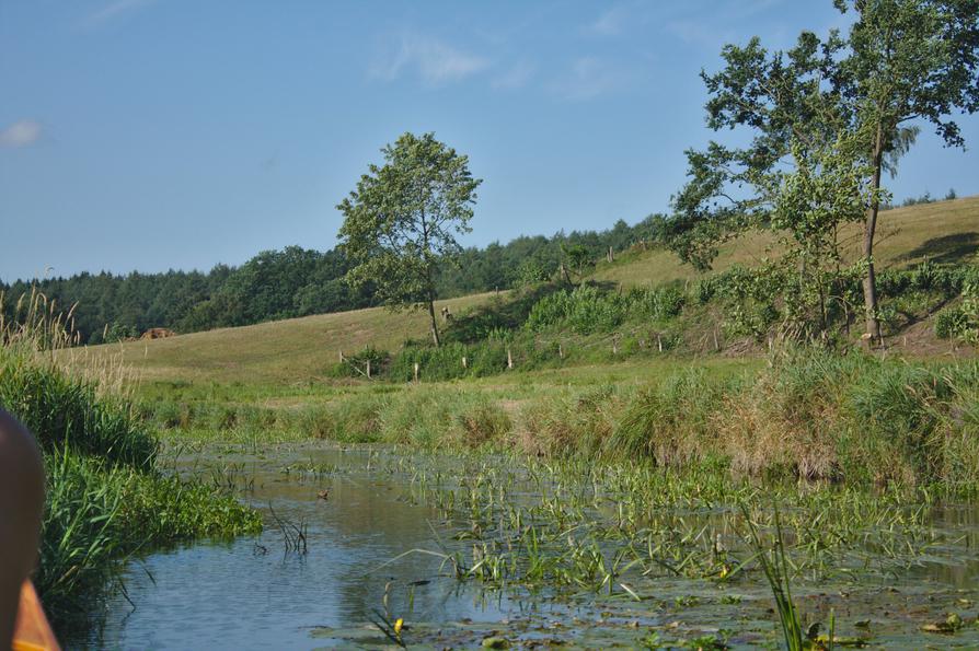 Eidertal bei Blumenthal