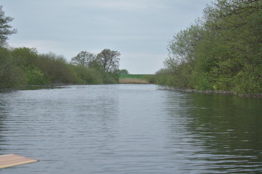 Schwentine zwischen Fuhlensee und Kronsee