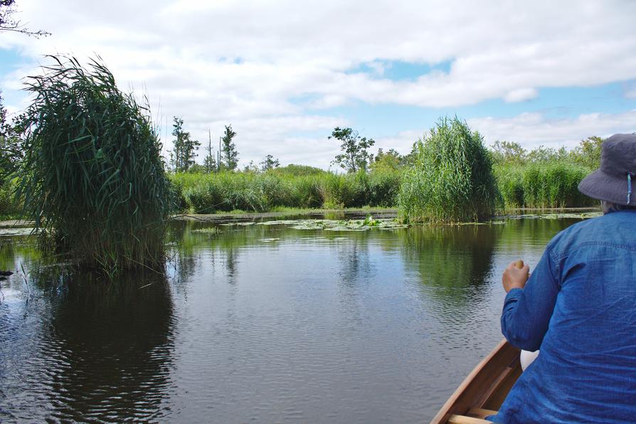 Peene bei Kagenow