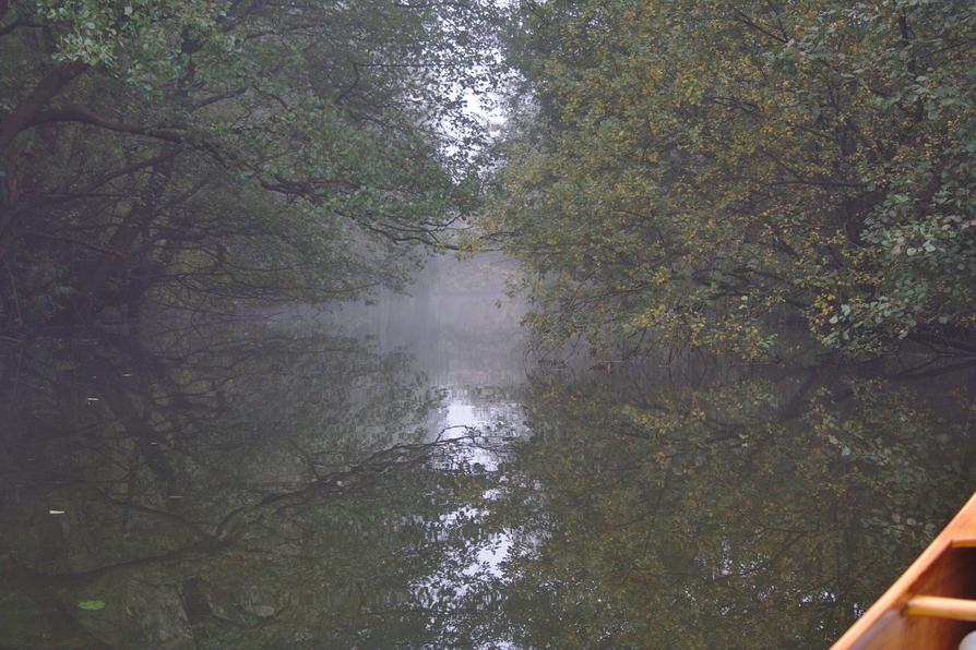 die Eider im Nebel