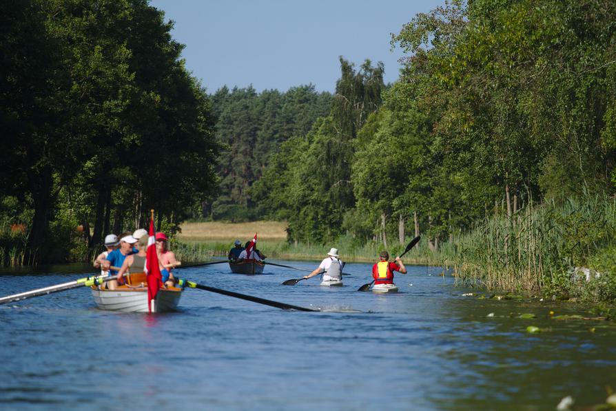 Ruderer auf dem Repenter Kanal