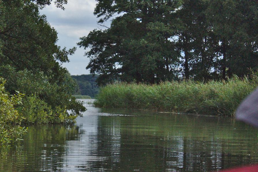 die Eider vor dem Westensee