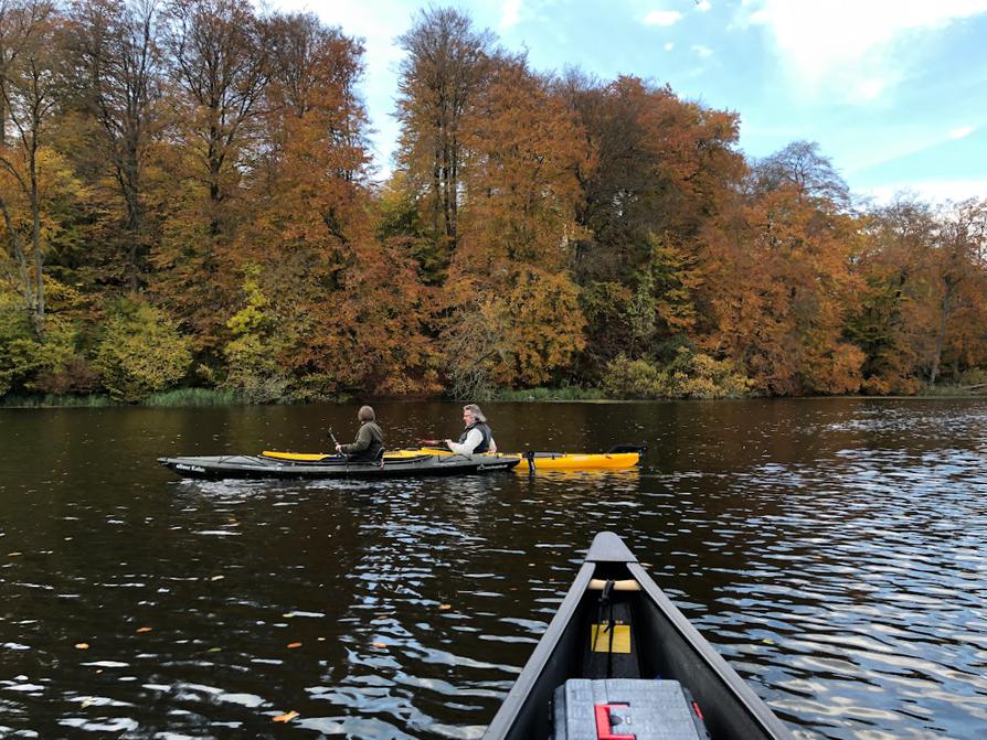 zurück auf dem Rosensee