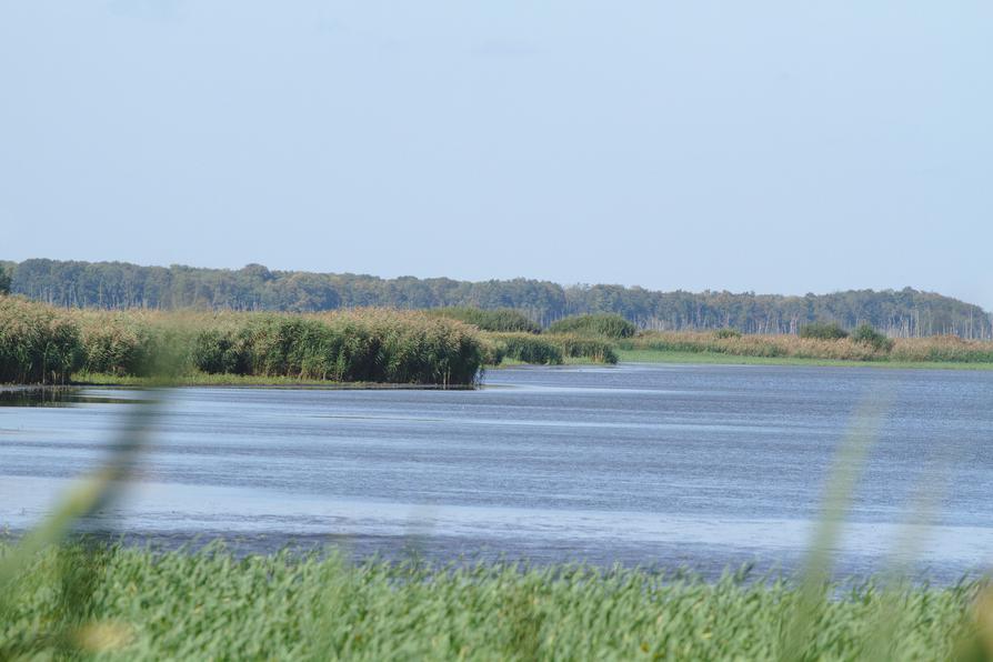 überflutete Polderwiesen an der Trebel überflutete Polderwiesen an der Trebel