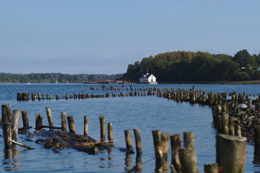 Heringszaun in Kappeln