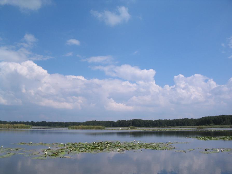 Kremmener See oder Beetzer Ecken