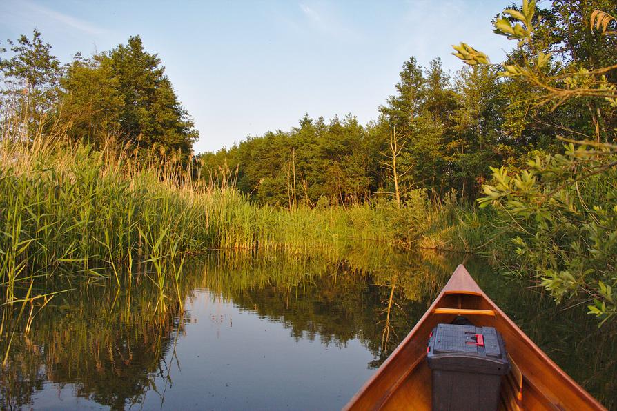 waldiger Abschnitt an der Recknitz