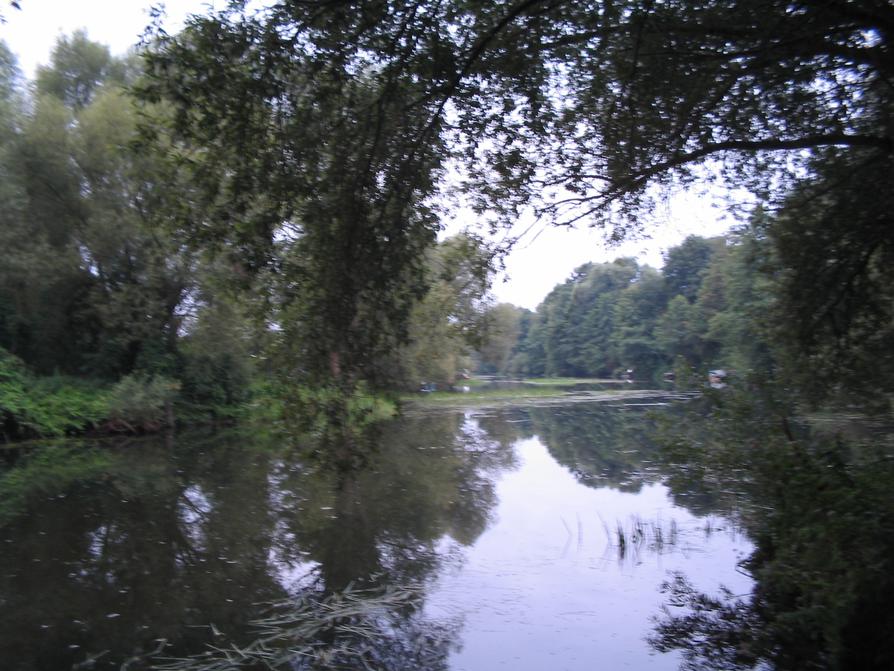 Wieder eingesetzt in die Havel in Oranienburg