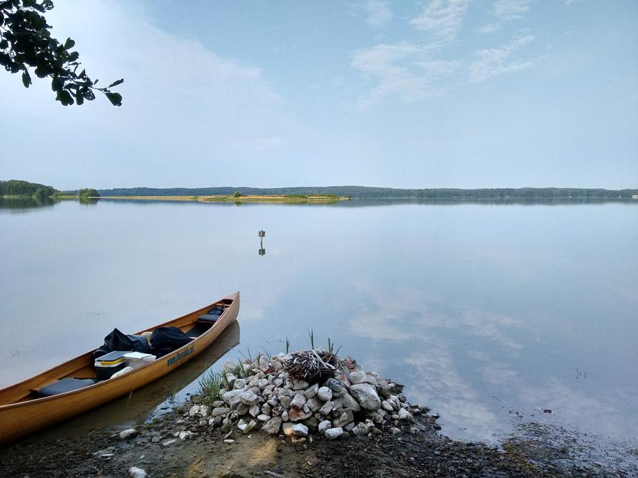 Blick auf die Vogelinsel Bischofswarder