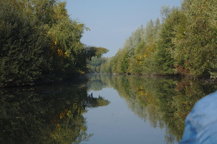 Auf dem Breitenburger Moorkanal