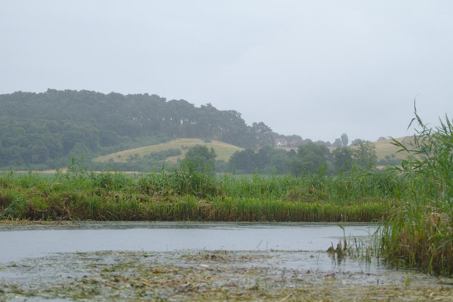 Tollensetal im Regen