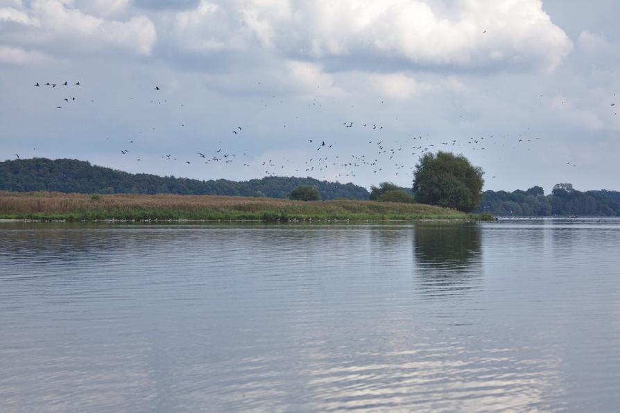 Lanker See bei Preetz