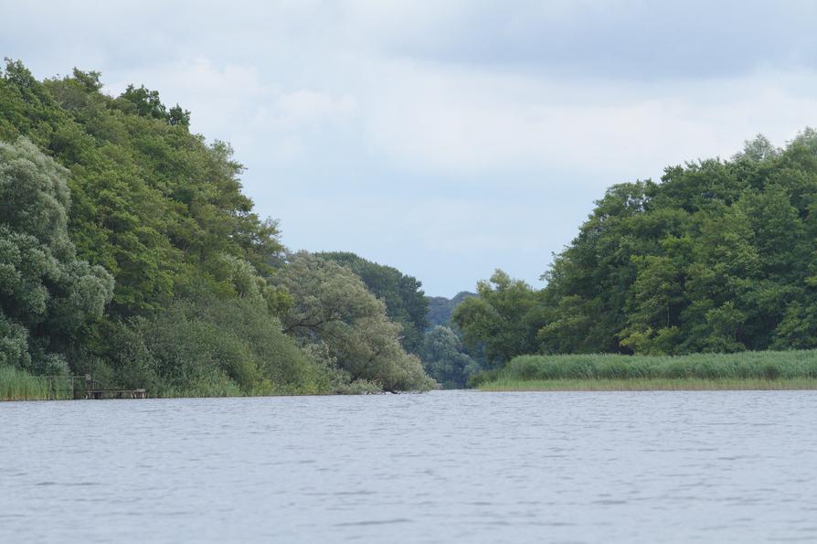 Schwentine Große Breite bei Wittmoldt