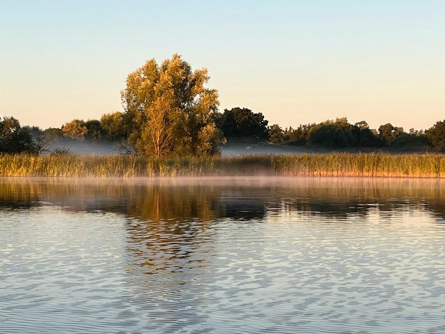 Nebel über dem Ufer