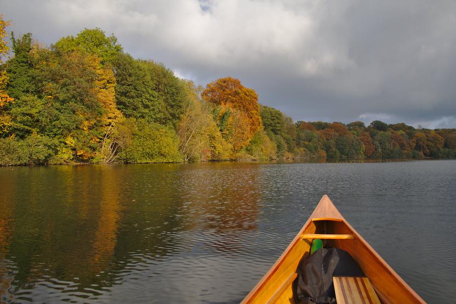 goldenes Herbstlaub am Diekseeufer