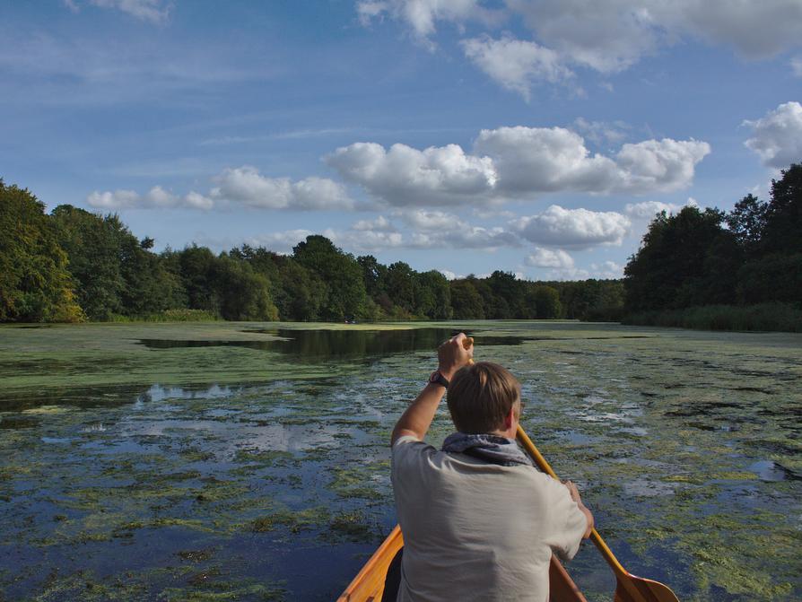 Auf dem Rosensee