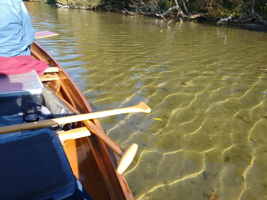 klares seichtes Wasser im Höftsee