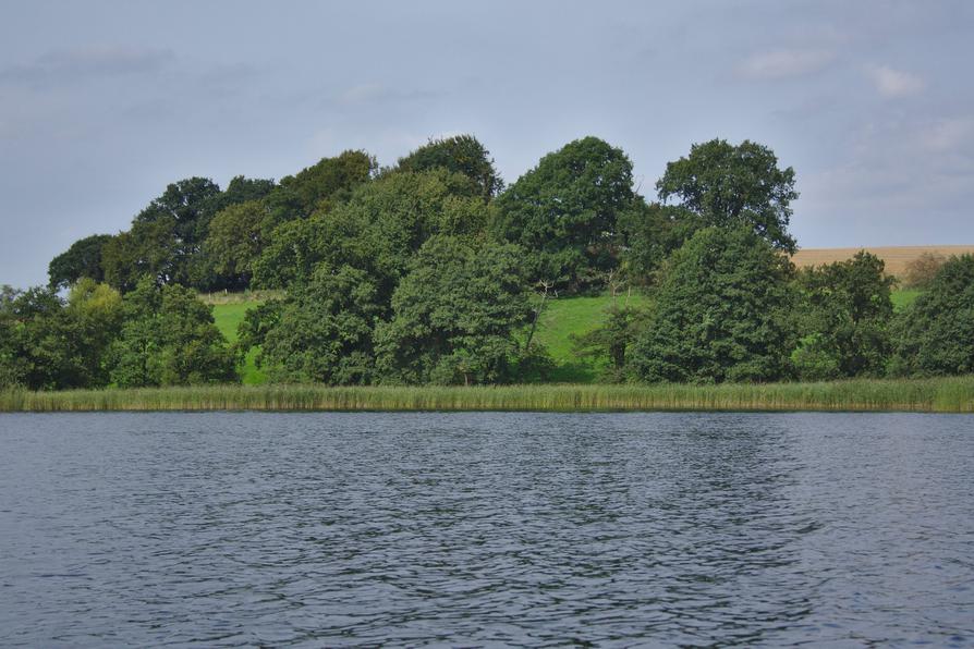 Gehölze am Abhang der Schwentine Große Breite bei Güsdorf