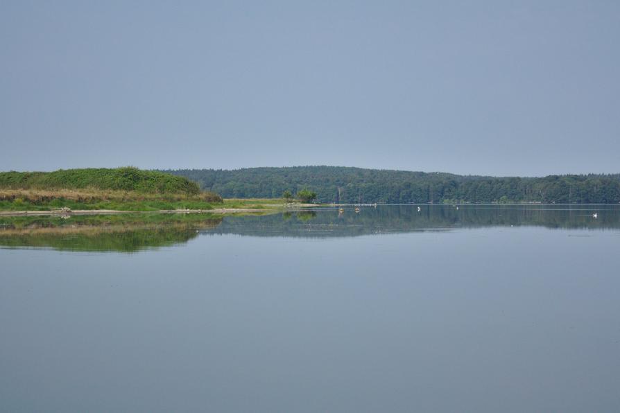 Insel im Großen Plöner See