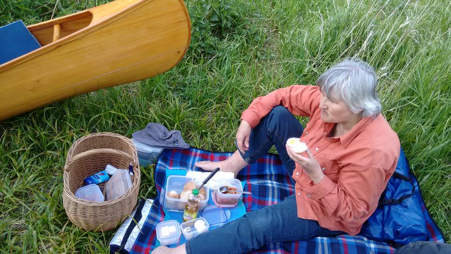 Picknick an der Schwentine Picknick an der Schwentine