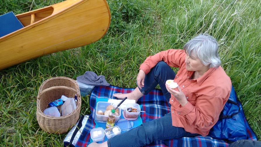 Picknick an der Schwentine