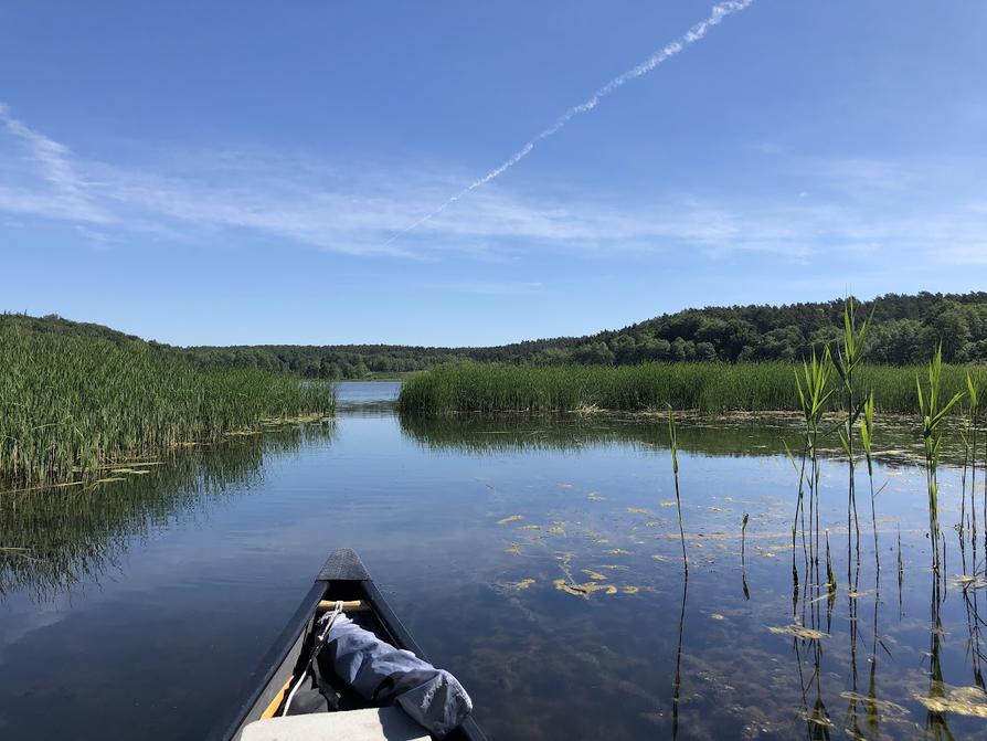 Vom Sternberger See in den Trenntsee