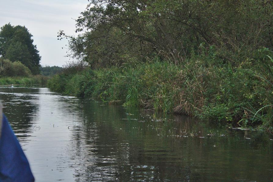 die Warnow vor dem Mickowsee